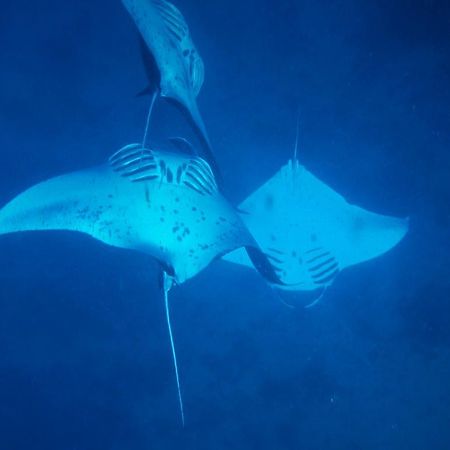 Mai Dive' Astrolabe Reef Resort Naqara Exteriör bild