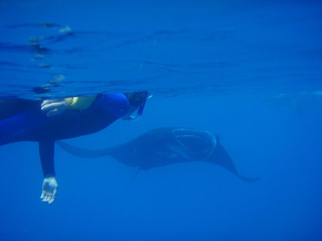 Mai Dive' Astrolabe Reef Resort Naqara Exteriör bild