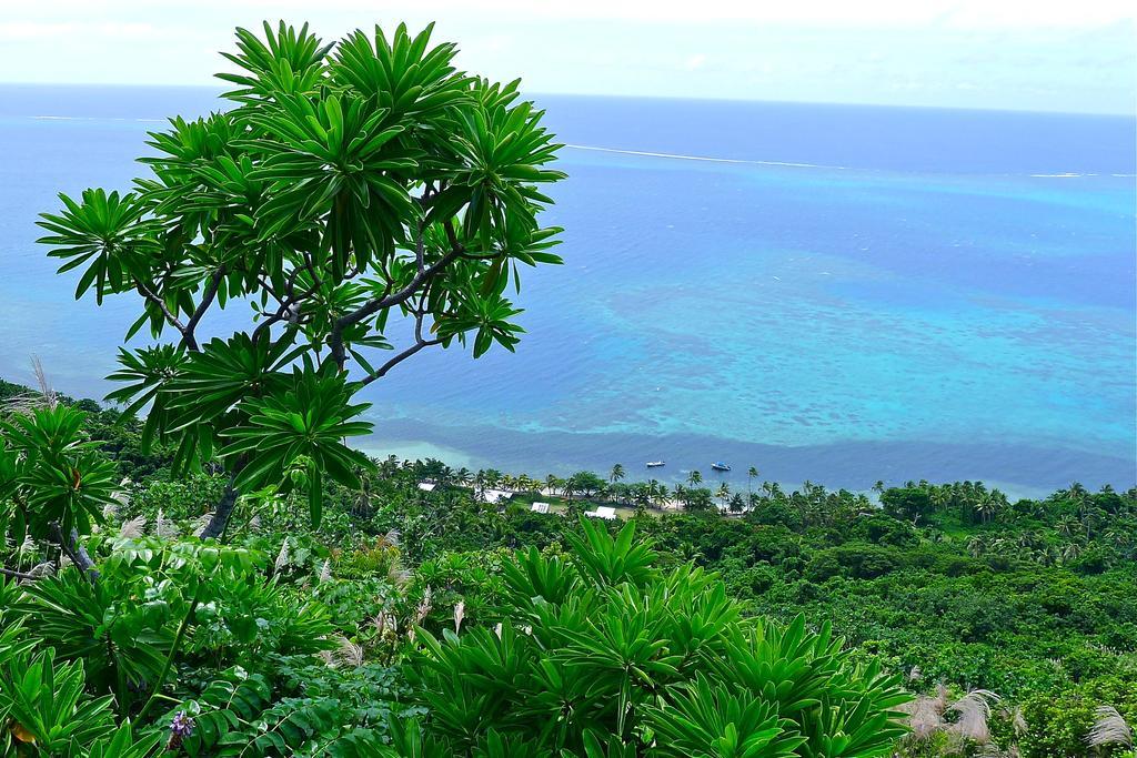 Mai Dive' Astrolabe Reef Resort Naqara Rum bild