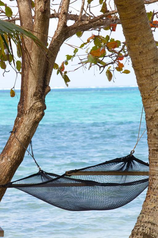 Mai Dive' Astrolabe Reef Resort Naqara Rum bild
