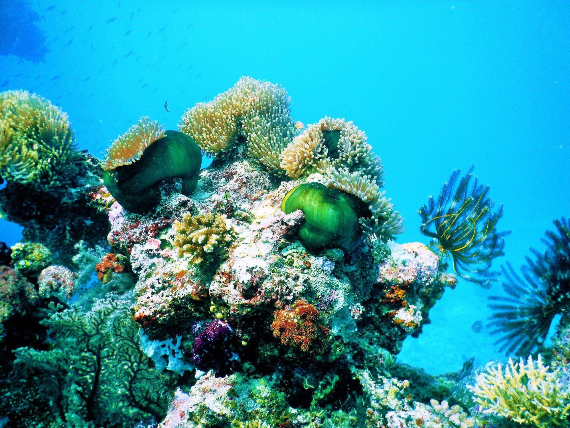 Mai Dive' Astrolabe Reef Resort Naqara Exteriör bild