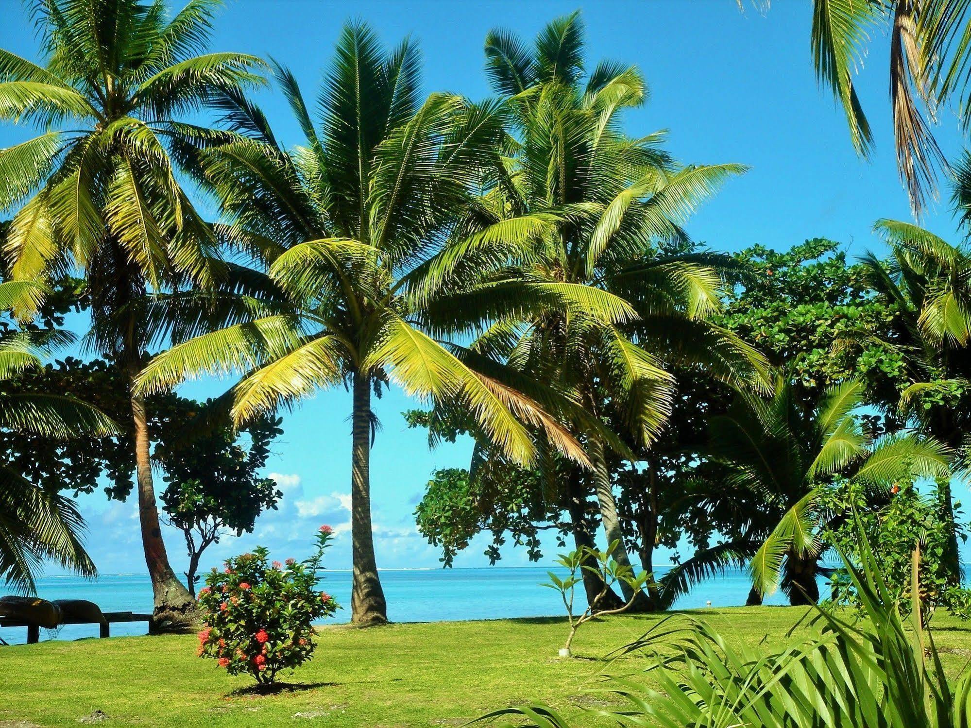 Mai Dive' Astrolabe Reef Resort Naqara Exteriör bild